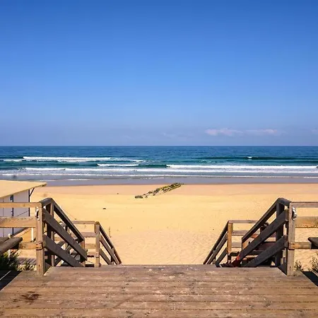 Le Surf