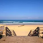 Le Surf